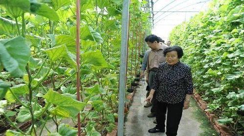 金华最新吃瓜事件爆料是真的吗,真相揭秘还是无端炒作？